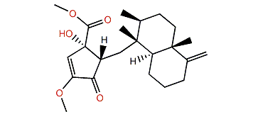 Dactylospongenone D
